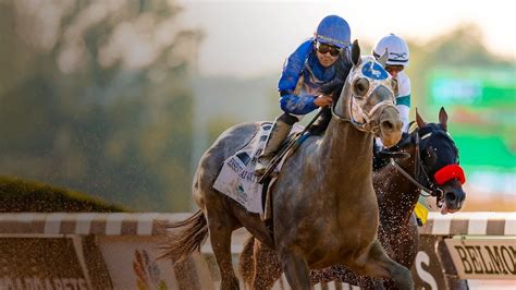 Live Horse Racing Stream .